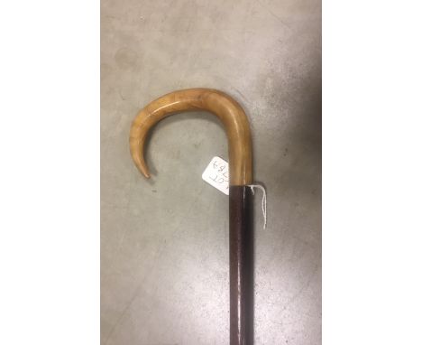 Rams horn walking stick .