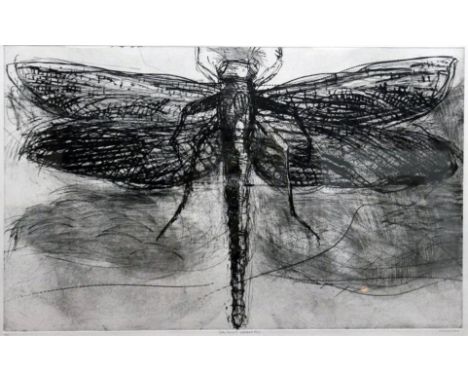 A large drypoint etching of a dragon fly, 'Dry Point Dragonfly', signed limited edition, signed C Burns 