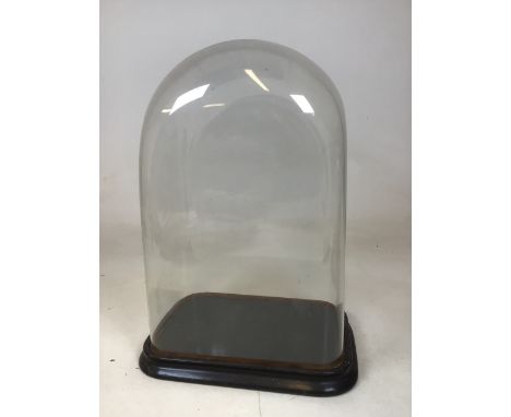 A vintage rectangular glass dome on wooden display base  W:34cm x D:22cm Base dimensions W:29cm x D:19cm x H:43cm Dome dimens