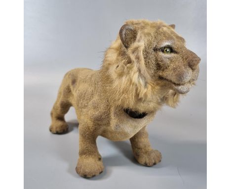 'Fairylite Beautyware' model of male lion with weighted moving head.  28.5cm long approx.  (B.P. 21% + VAT) 