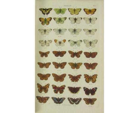 Wood, W.  Index Entomologicus; or a Complete Illustrated Catalogue, consisting of 1944 figures of the Lepidopterous Insects o