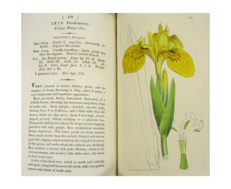 Smith, James Edward and James Sowerby  English Botany, or Coloured Figures of British Plants. London: for the author, 1790-18