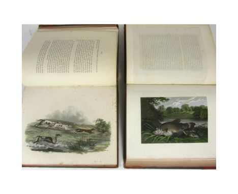 Daniel, William Barker - Large Paper Hand-Coloured Copy  Rural Sports. London: Printed for the Author, by Thomas Davison, 180