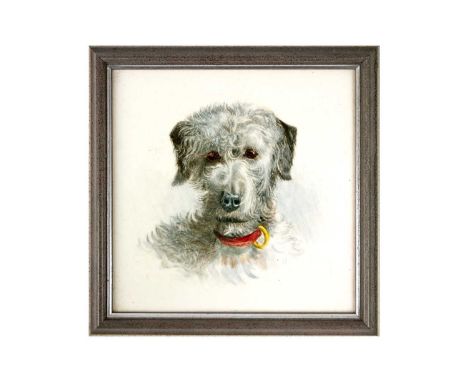 A Minton square tile painted with a portrait of a Dandy Dinmont terrier Late Victorian, wearing a red leather collar, framed,