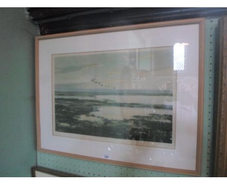 After Peter Scott, birds in flight over marshland, a print, signed to lower right corner in pencil to the margin, 38cm x 57cm