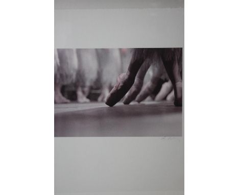 Asya Verzhbinsky - A box framed and glazed limited edition photographic print of ballet dancers on point. Signed by the artis