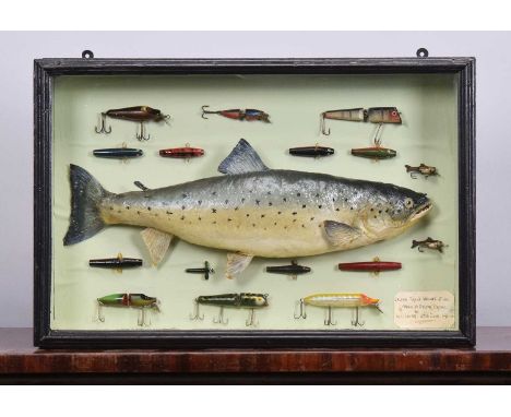 Taxidermy: A Cased Salmon Trout (Salmo trutta), dated 1964, an adult skin mount preserved and mounted against a pale green pa