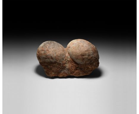 Cretaceous Period, 145-65 million years BP. A pair of large Charonosaurus sp. hadrosaur eggs on matrix retaining evidence of 