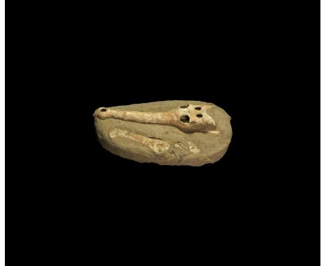 Cretaceous Period, 155-66 million years BP. A fossil Dyrosaurus phosphatosaurus crocodile upper skull, leg bone and two scute