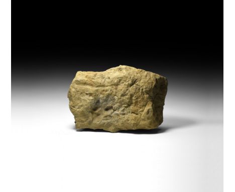 Late Cretaceous Period, 100-66 millions years BP. A sedimentary stone block with impressed footprint of an iguanodon to the u
