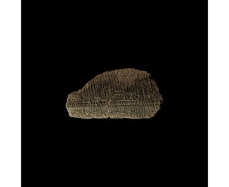 19th-17th century BC. A large section of a ceramic cylinder with impressed cuneiform text in several columns.  630 grams, 15c