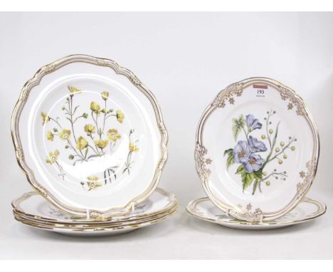 A collection of four 20th century Spode Wild Flower series dinner plates to include Buttercup, Foxglove, Love-in-a-mist, and 