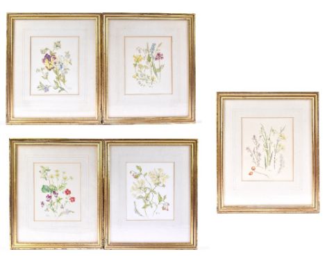 A set of four late 20th century botanical watercolours, each initialled RKM and dated 81, 15 x 12.5cm, framed and glazed.&nbs