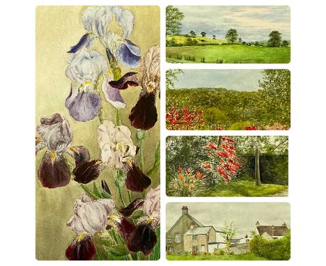 LEONORA M. SINCOCK watercolours -"Irises", 55.5 x 37cms, "After rain at Gwaenysgor", 33.5 x 42cms, "A garden in Madeira", 24.