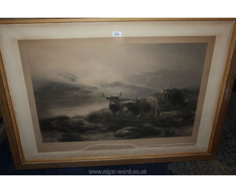 A large Peter Graham Print framed of Highland Cattle, 35'' x 46''
