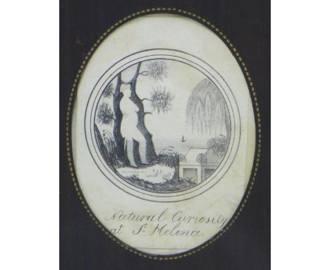 Napoleon guarding his own tomb, pencil sketch after the original Natural Curiosity of St |Helena, framed under glass, 10 x 12