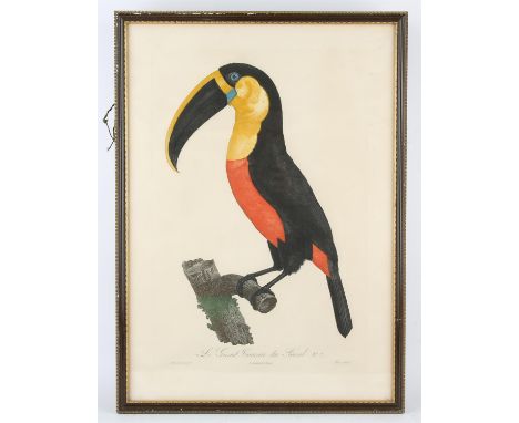After Jacques Barraband (French, 1767-1809), four hand-coloured engravings depicting exotic birds, framed and glazed as a set