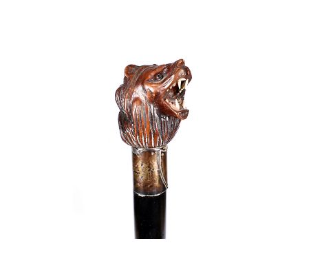 A late 19th/early 20th Century walking cane, having carved wooden roaring lion head top, teeth possibly ivory, glass eyes, si