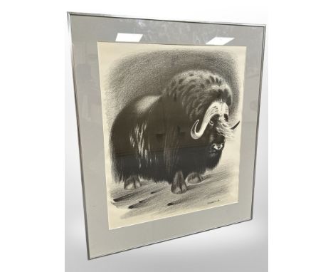 Sikke Hansen : Study of a bison, lithograph in monochrome, with printed signature, 58 cm x 47, framed. 
