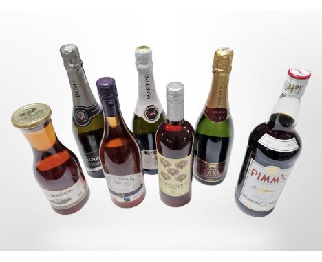Seven various bottles of alcohol including Martini, Pimms, Prosecco, Brut Cava, etc.