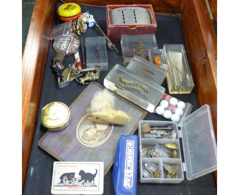 A table top display case with a Hohner Blues Harp, cased insects, buttons, etc. 