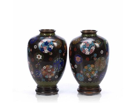 Pair of cloisonne vases on hardwood standsJapanese, late 19th Centurywith coloured decorative enamel decoration, unmarked, 19