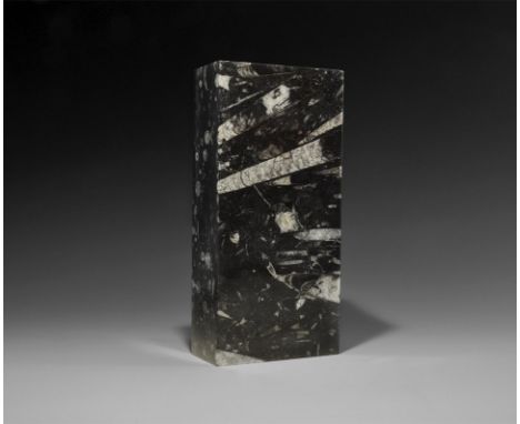  Devonian Period, 417-354 million years BP. A rectangular stone block displaying orthoceras fossils, polished on all six face