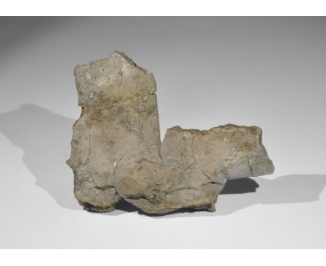  Jurassic Period, 160 million years BC. A bone from the extinct Jurassic crocodile Steneosaurus sp. from the Oxford Clay, in 