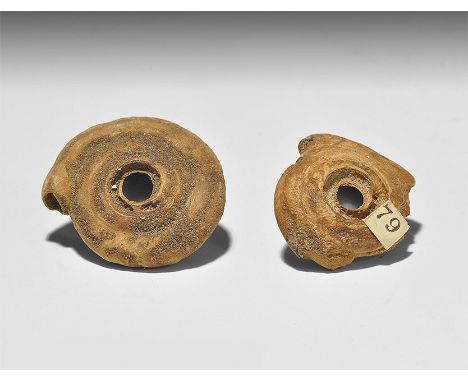  Eocene Period, 50 million years BP. A group of two fossil gastropods from the London clay, with old Gregory, Bottley and Llo