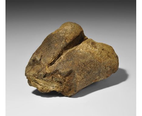  Cretaceous Period, 145-65 million years BP. An Iguanodon upper leg-bone section from the Isle of Wight, UK. 612 grams, 12.5c