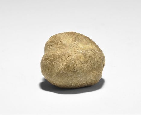  Cretaceous Period, 120 million years BP. A finely preserved fossil of the echinoid Hemiaster sp. from Oxfordshire, UK, from 