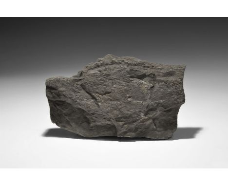  Carboniferous Period, 350 million years BP. A section of Carboniferous Period sea floor comprising carbonaceous shale with t