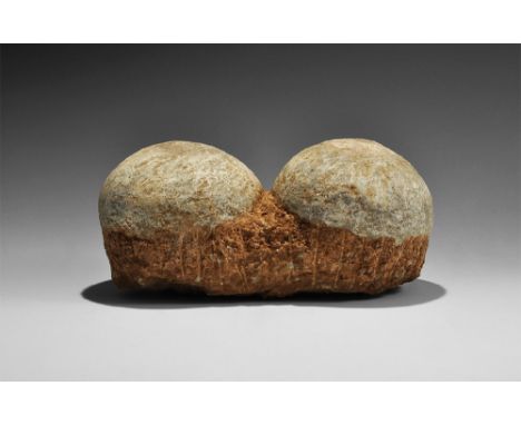  Cretaceous Period, 110-125 million years BP. A pair of fossil hadrosaur Charonosaurus eggs on matrix, from Xixia basin, Hena