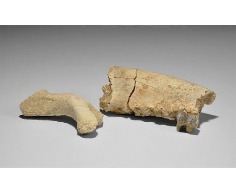  Late Oligocene Period, 35 million years BP. A mixed group comprising an oreodent jaw section and leg bone from South Dakota,