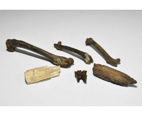  Pliocene (5.3-2.5 million years BP) to Pleistocene (2.5 million-11,700 years BP). A mixed group comprising: a fossil pocket 