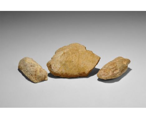  Cretaceous Period, 145-65 million years BP. A group of three bone sections from the carnivorous dinosaur Carcharodontosaurus