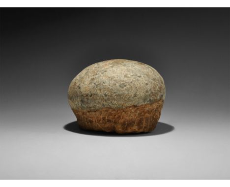  Cretaceous, 110-125 million years BP. A fossil hadrosaur Charonosaurus eggs on matrix, from Xixia basin, Henan Province, Chi
