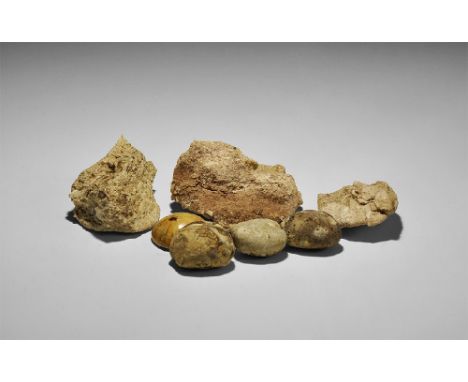  Cretaceous Period, 145-65 million years BP to Miocene Period, 23-5.3 million years BP. A mixed group of fossil echinoids com