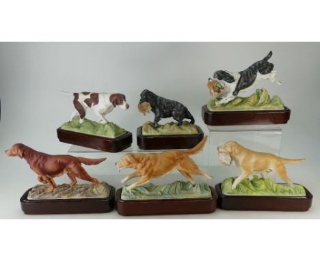 Royal Worcester by Doris Lindner set of six from the series of sporting dogs, English Pointer, Irish Setter, Cocker Spaniel, 