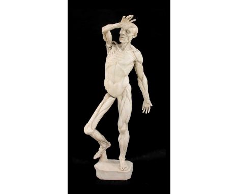 A plaster anatomical model of a human, 101cm high