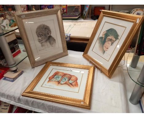 3 framed and glazed prints of Orangutangs and monkeys