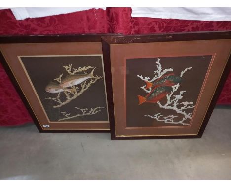 2 x Roy Taylor 1972 framed and glazed prints of fish  57cm x 67cm Collect only