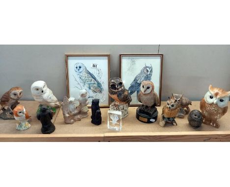 A collection of owl figures including Poole, Beswick one is a/f, plus 2 pictures and 2 other birds