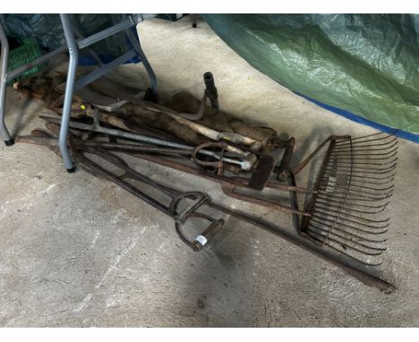 A quantity of long handled tools, including a malt shovel, thatcher's needle, rake, weed forks, traps etc.