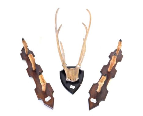 Antlers/Antlers: Roe Deer Gun Rack, a pair of Roe deer hoof mounted gun racks, each constructed from three single hoofs mount