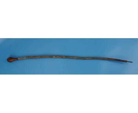 Shark vertebrae swagger stick - Approx length: 72cm