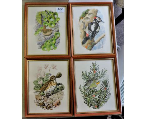 Framed Pictures(4) of wildbirds in very good condition, no foxing prints by C.F.Tunncliffe