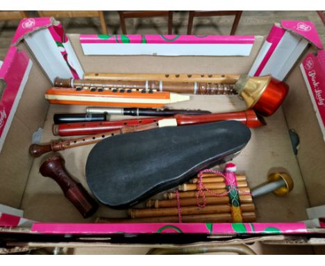 A box of assorted musical instruments to include a Hohner melodica, pan pipes, recorder &amp; a duck call etc. 