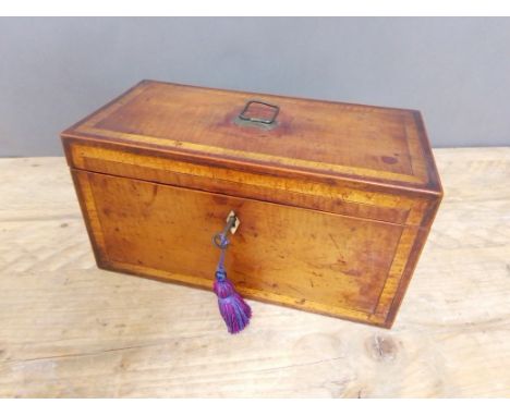 A 19th century satin wood cross banded mahogany tea caddy, interior with two containers and central glass mixing bowl, length