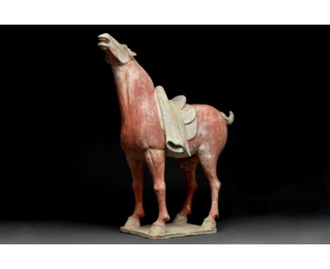 Ca. 618–907 AD. Chinese Tang Dynasty. A beautiful terracotta horse standing upon a flat rectangular base with a long neck art